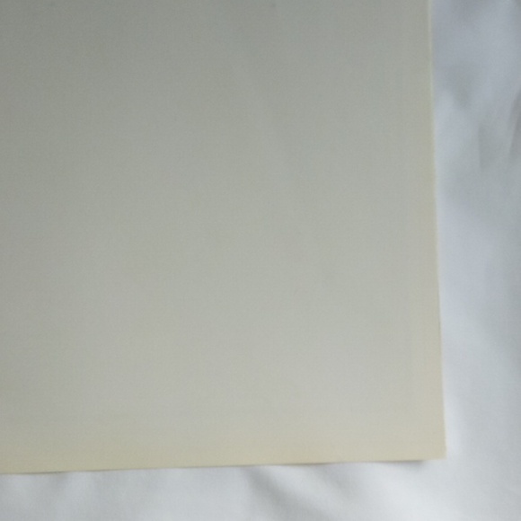 VINTAGE VOGUE POSTER SUMMER HOMES AND THEIR FURNISHINGS MAY 15 1913 - Picture 9 of 10